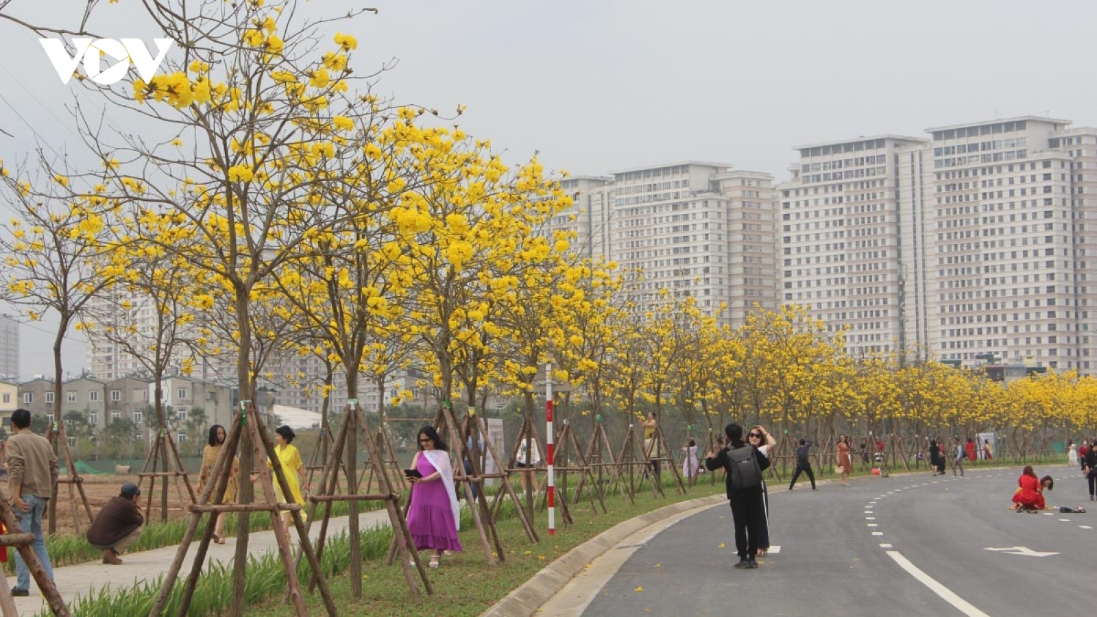 Colourful flowers adorn streets of Hanoi during spring